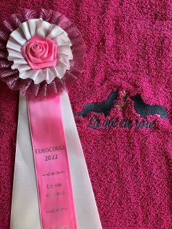 Afbeelding invoegen